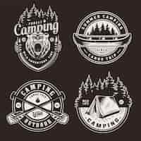 Free vector vintage summer outdoor recreation emblems