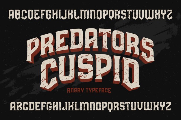 Vintage textured font