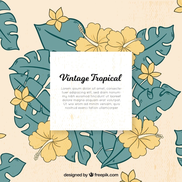 Free vector vintage tropical background