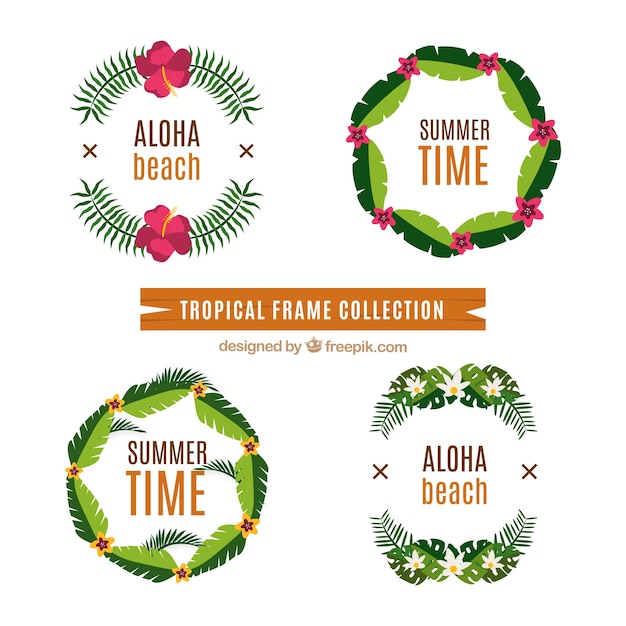 Free vector vintage tropical frames set