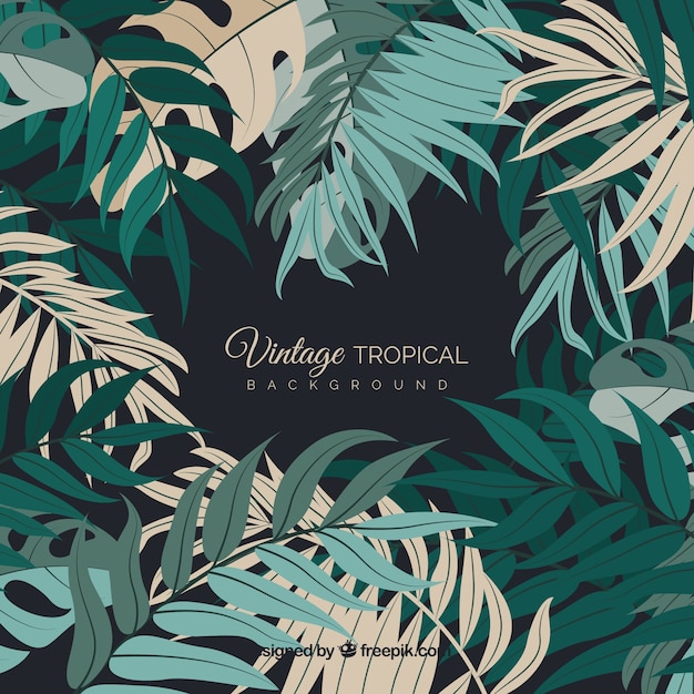 Vintage tropical leaves background