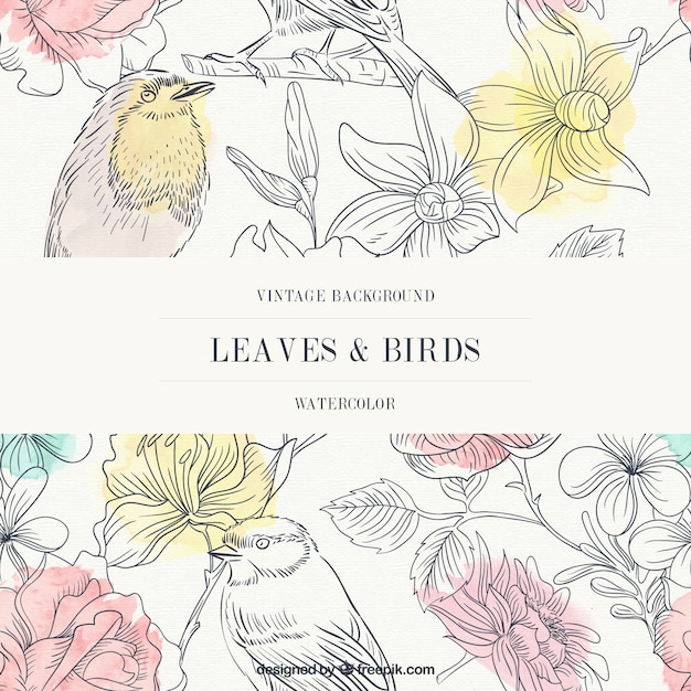 Free vector vintage watercolor leaves and birds background