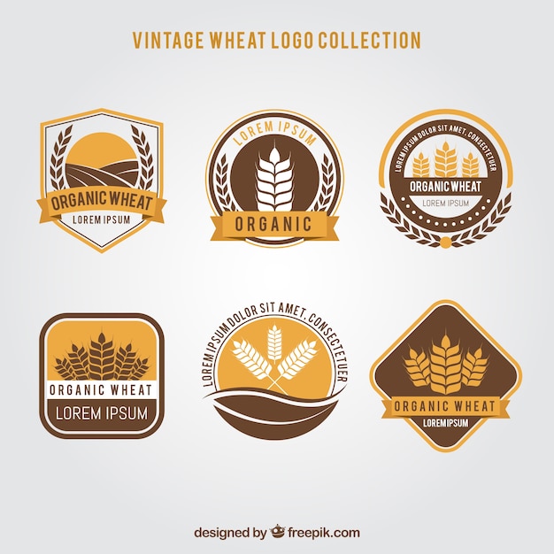 Free vector vintage wheat logo collection