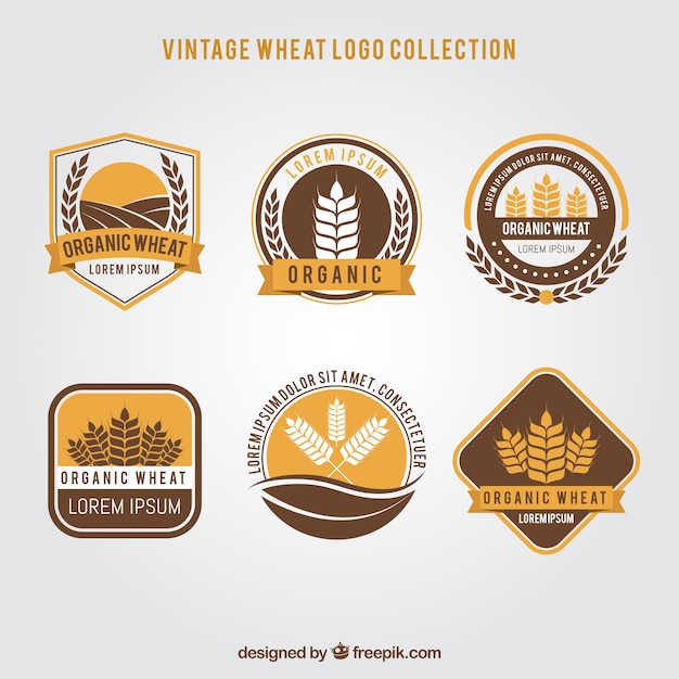 Vintage wheat logo collection