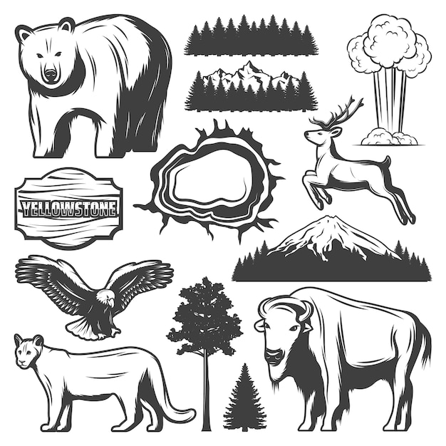 Vintage Yellowstone national park icons set with animals forest mountain exploding geyser grand prismatic spring wooden plank isolated