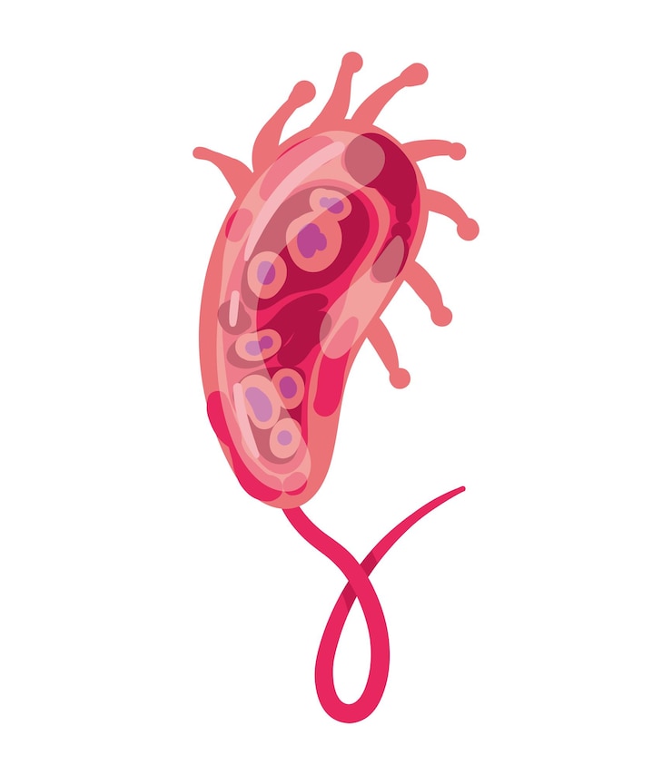 Free Vector virus nipah viral isolated illustration