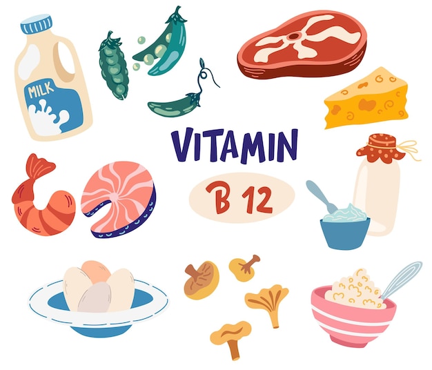 ビタミン​b​12​食品​。​ミルク​、​ヨーグルト​、​マッシュルーム​、​牛肉​、​シーフード​、​豆​、​卵​。​ダイエット​製品​、​有機​自然​食品​。​白い​背景​で​隔離​の​ベクトル​漫画​イラスト​。