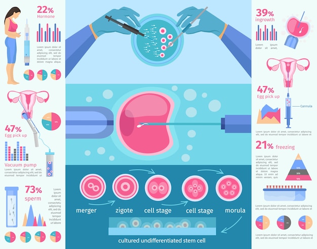 Free vector in vitro fertilization flat infographic template