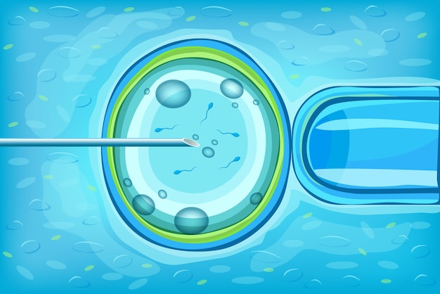 Vettore gratuito concetto scientifico di fecondazione in vitro