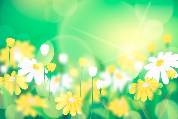 Spring Backgrounds Images – Browse 16,422,773 Stock Photos, Vectors, and  Video