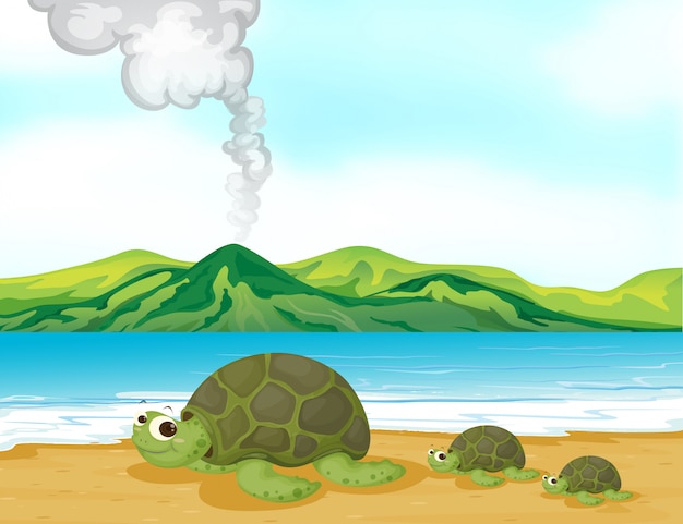 A volcano beach and turtles