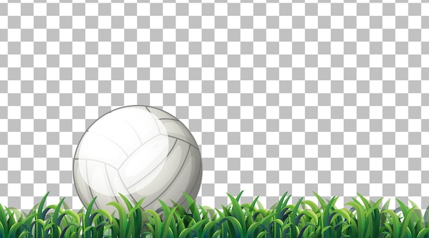 Free vector volleyball  on the grass field on transparent background