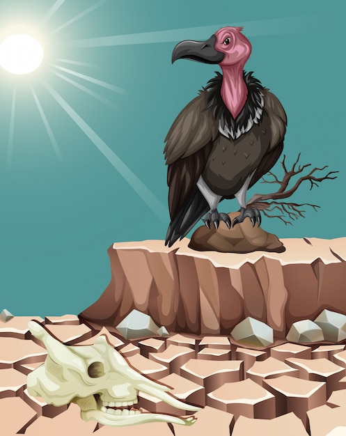 Free vector vulture standing on desert ground