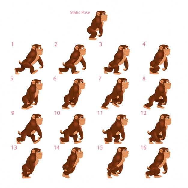 Free Vector a walking monkey
