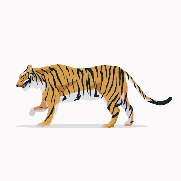 Walking tiger background