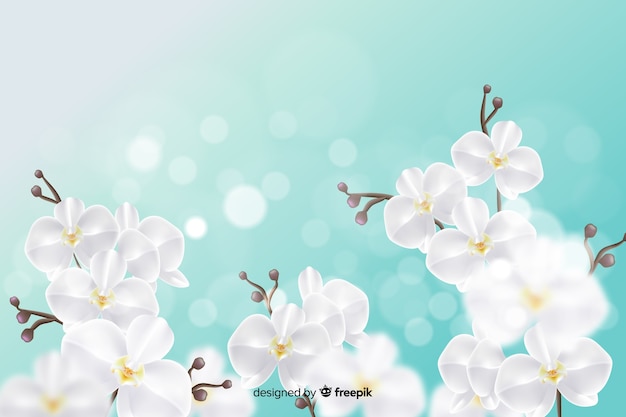 Wallpaper design with realistic flowers