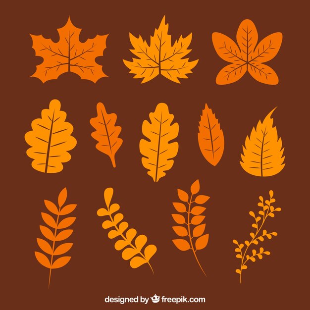Теплая коллекция различных осенних листьев