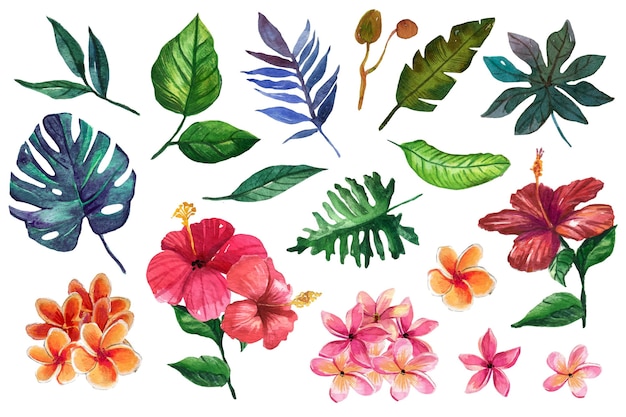 Free vector warm coloured flowers and tropical leaves