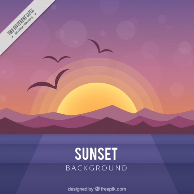 Free Vector | A warm sunset background