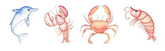 Free vector water color hand draw dolphin lobster crab and shrimp