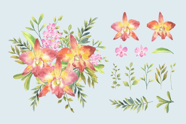 手描きカトレアの蘭の花のパターンの背景 プレミアムベクター