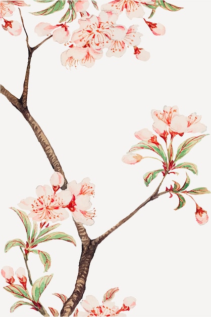 Water color tree branch with flowers