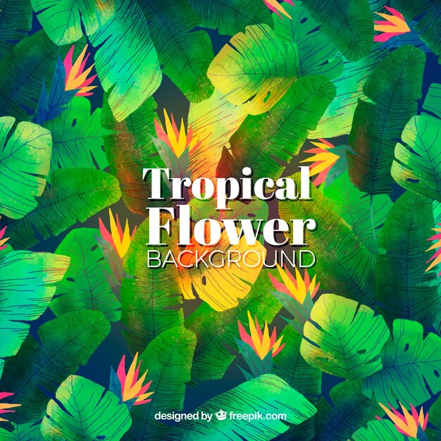 Water color tropical flower background