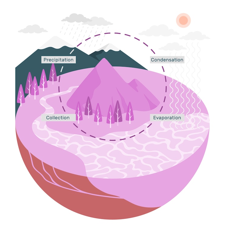 Free Vector water cycle concept illustration