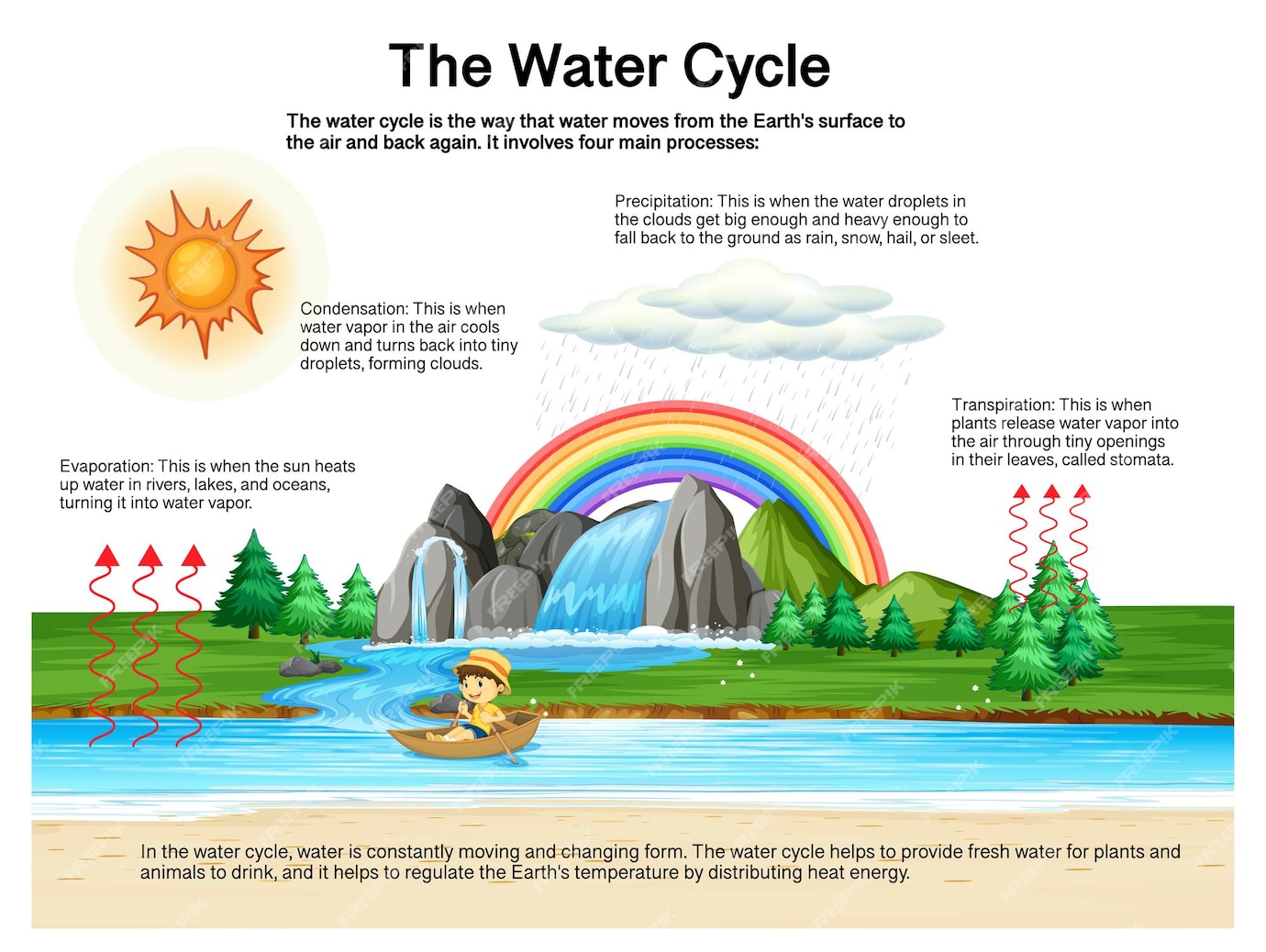 Free Vector | The water cycle diagram for science education
