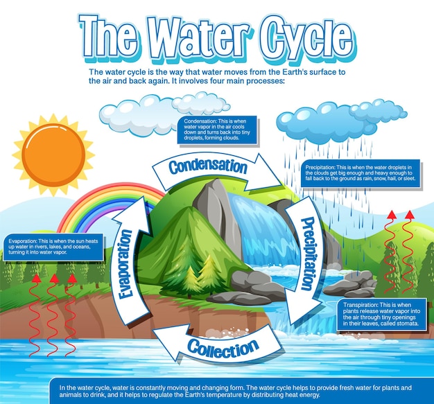 과학 교육을 위한 물 순환 다이어그램