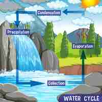 Free vector water cycle process on earth - scientific