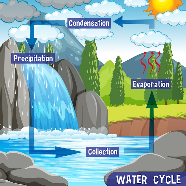 지구상의 물 순환 과정-과학