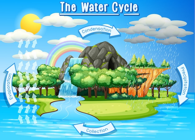 Free vector water cycle process on earth - scientific