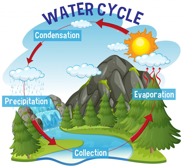 Processo del ciclo dell'acqua sulla terra