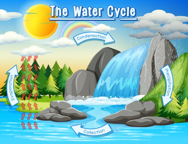 Free vector water cycle process on earth