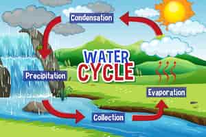 Free vector water cycle process on earth