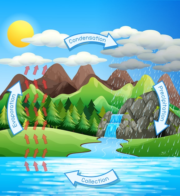 Бесплатное векторное изображение Процесс круговорота воды на земле - научный