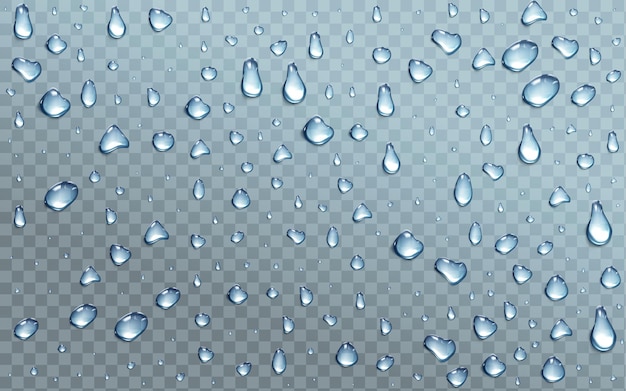Gocce d'acqua su sfondo trasparente, condensa, gocce di pioggia con riflesso della luce sulla superficie della finestra o del vetro, motivo a macchie di acqua pura, texture astratta bagnata, illustrazione vettoriale 3d realistica