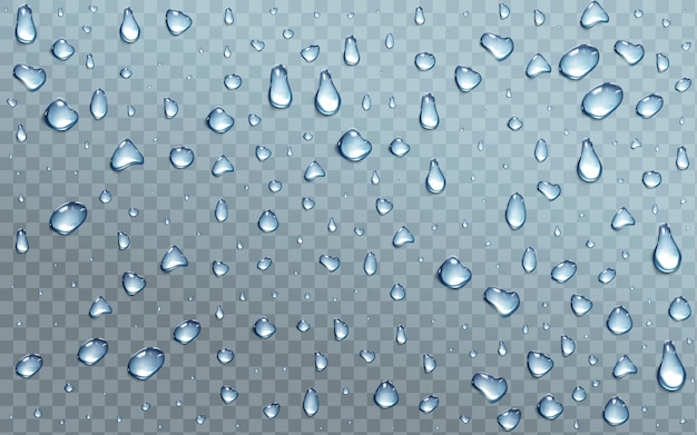 Water drops on transparent background, condensation, rain droplets with light reflection on window or glass surface, pure aqua blobs pattern, abstract wet texture, Realistic 3d vector illustration