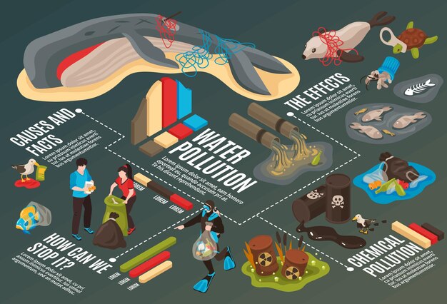 Water pollution infographics with information about causes facts and effects of environmental disaster isometric