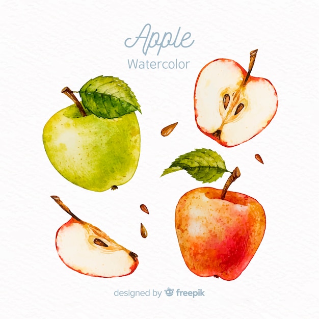 Free vector watercolor apple set