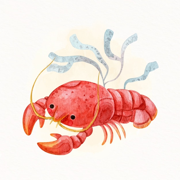 Free vector watercolor aquatic crawfish illustration