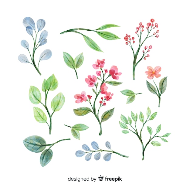 Watercolor artistic floral branch collection