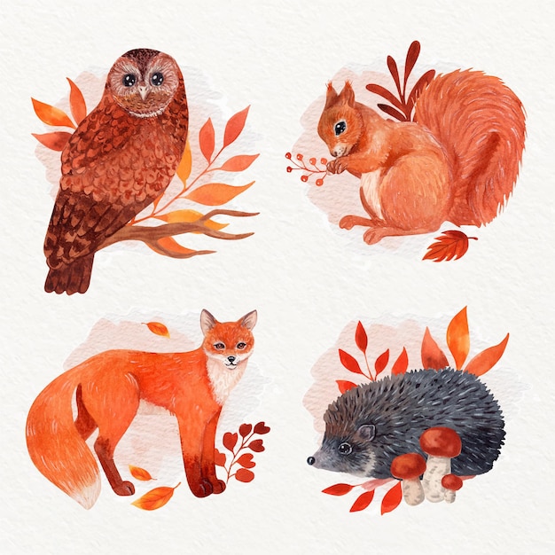 Watercolor autumn animals collection