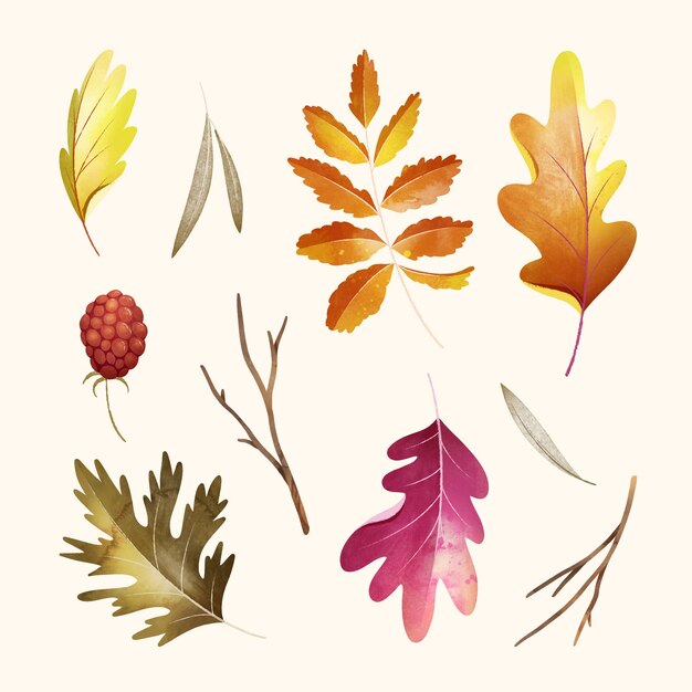 Watercolor autumn celebration elements collection