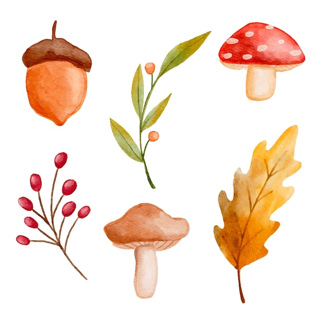 Watercolor autumn elements collection
