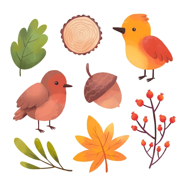 Free vector watercolor autumn elements collection