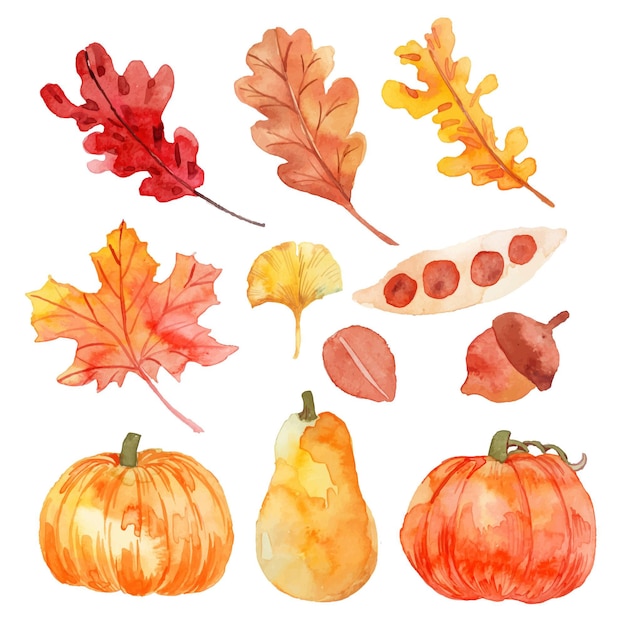 Free vector watercolor autumn elements collection