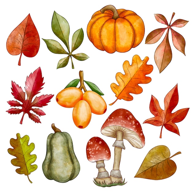Watercolor autumn elements collection
