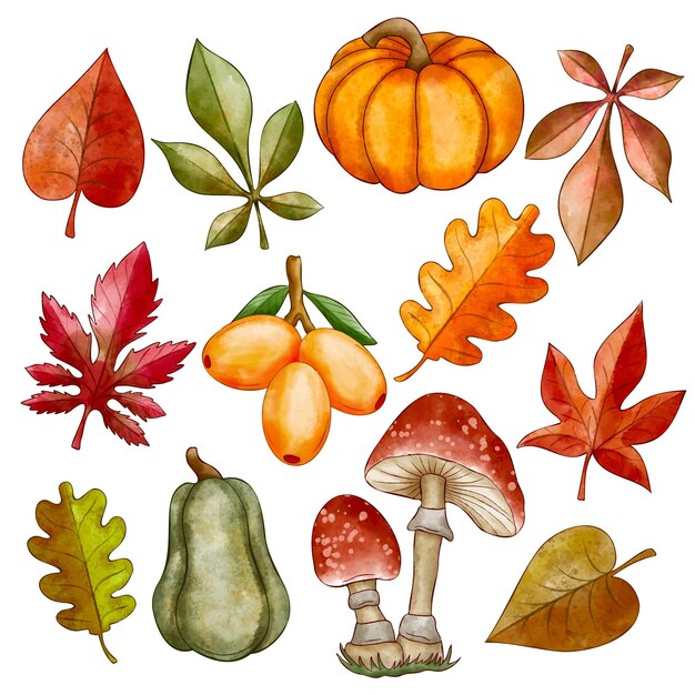 Watercolor autumn elements collection